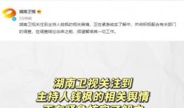 吃瓜娱乐被告,揭秘网络舆论的利与弊